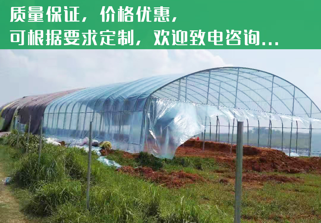 養(yǎng)殖棚