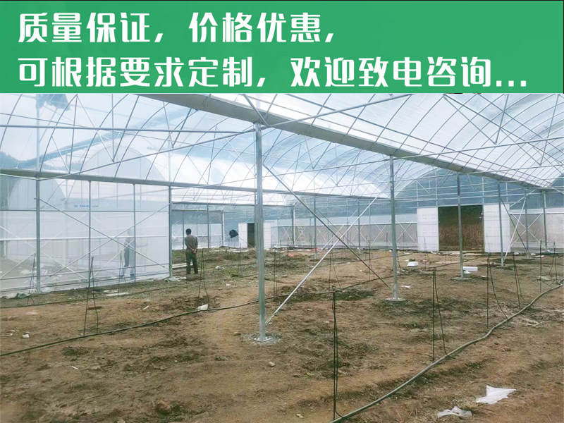 外遮陽(yáng)連棟大棚