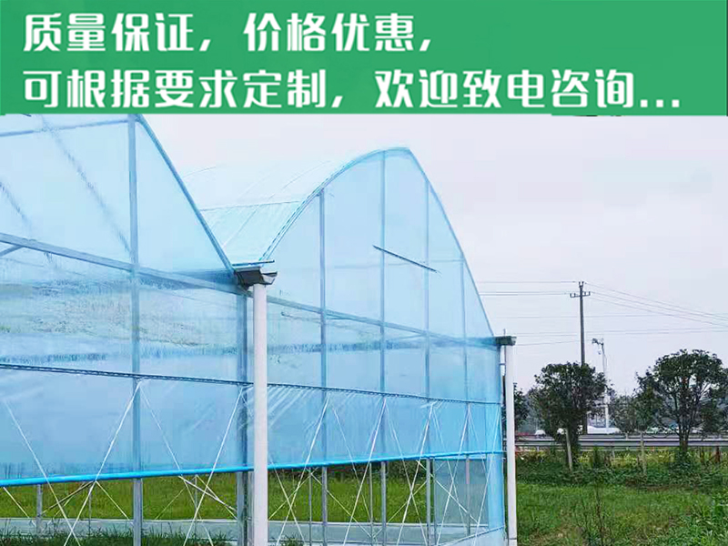 貴溪基地大棚