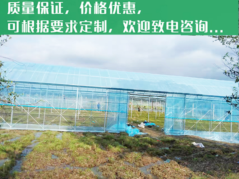 宜春簡(jiǎn)易連棟大棚